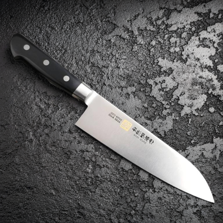 Iseya Molybdenum Santoku Knife 180mm Black Micarta Handle