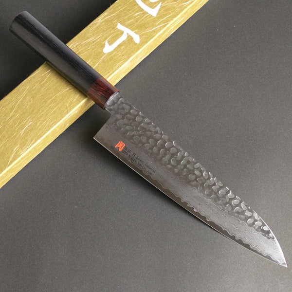 Iseya 33-Layer VG10 Damascus Gyuto Japanese Knife 210mm