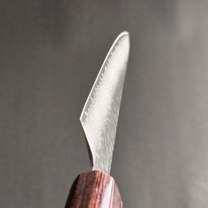 Sakai Takayuki 33-Layer Damascus Hammered VG10 Wa Sujihiki Knife 240mm