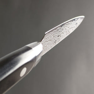 Sakai Takayuki 45-Layer Damascus Mirrored Paring Knife 80mm (3.1"")